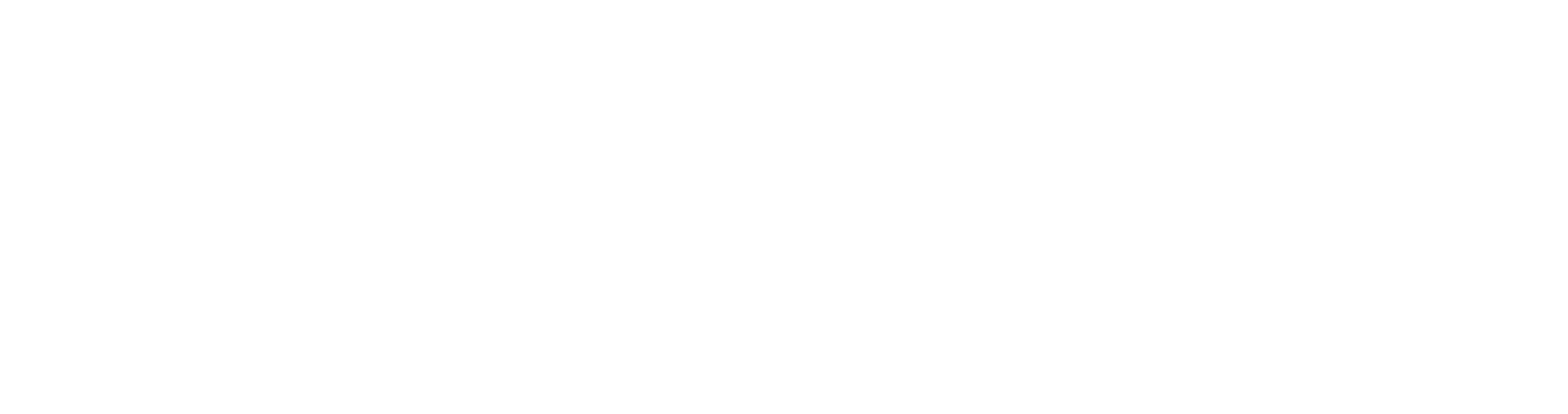 Studeli Logo